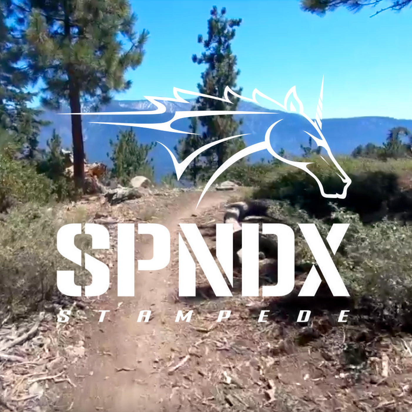 SPNCX Stampede