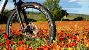 Tanken in the flowers